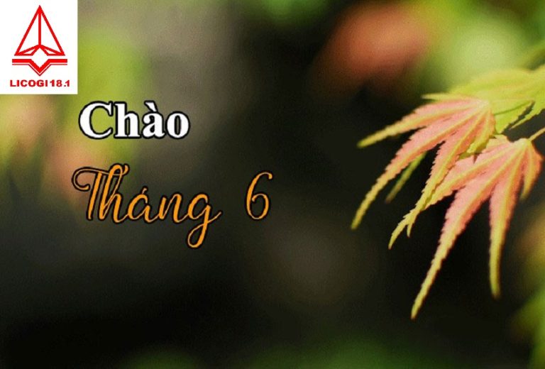 Chào tháng 6 Dự án Licogi 18.1 Uông Bí